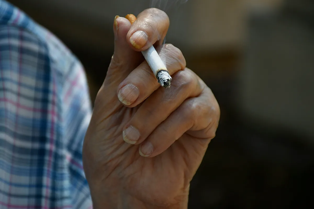 tabaco